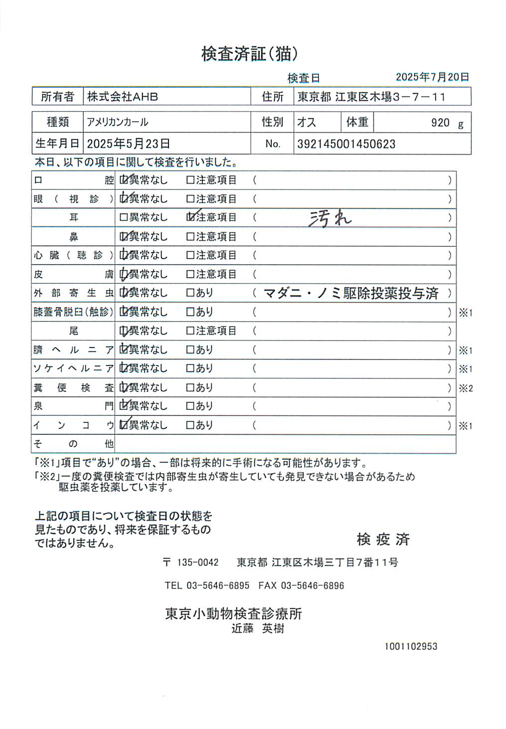 アメリカンカール