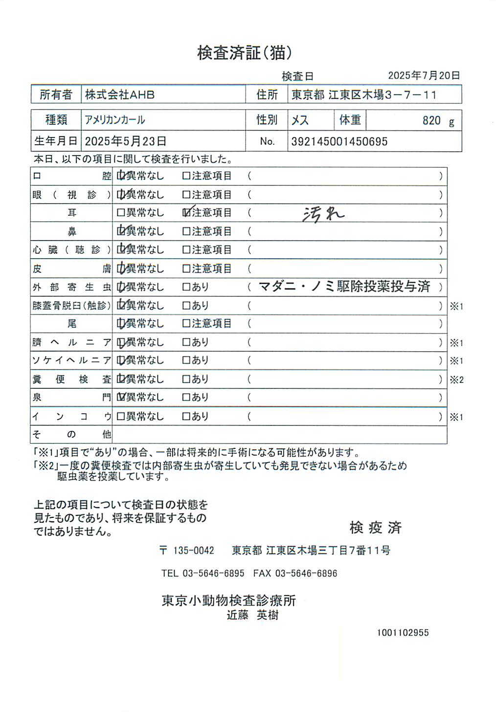 アメリカンカール