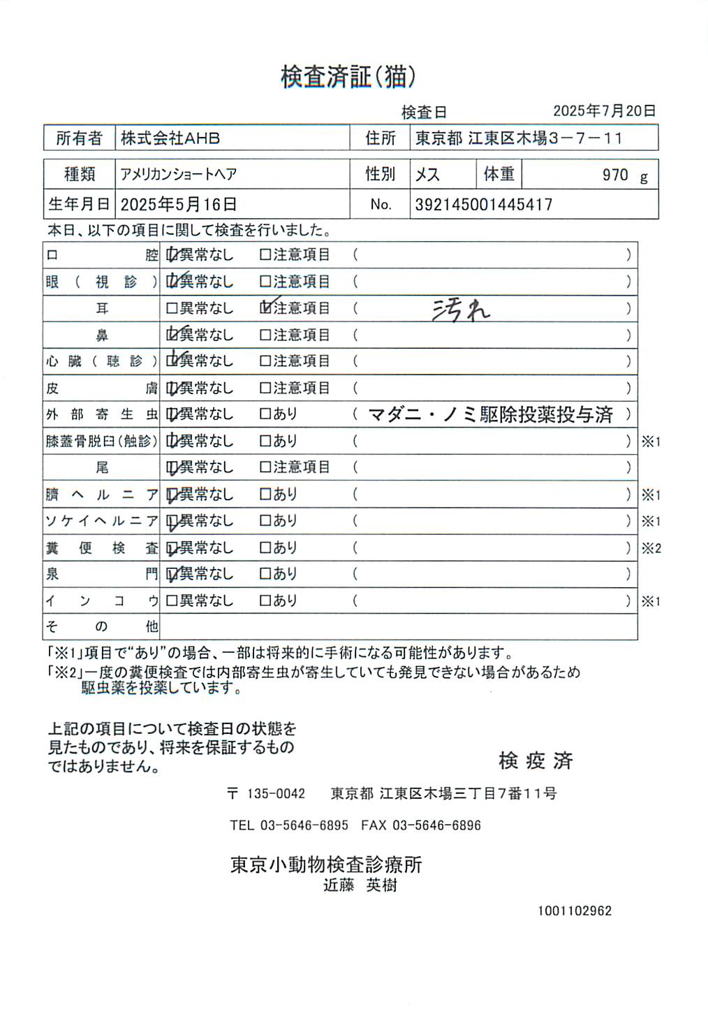 アメリカンショートヘア