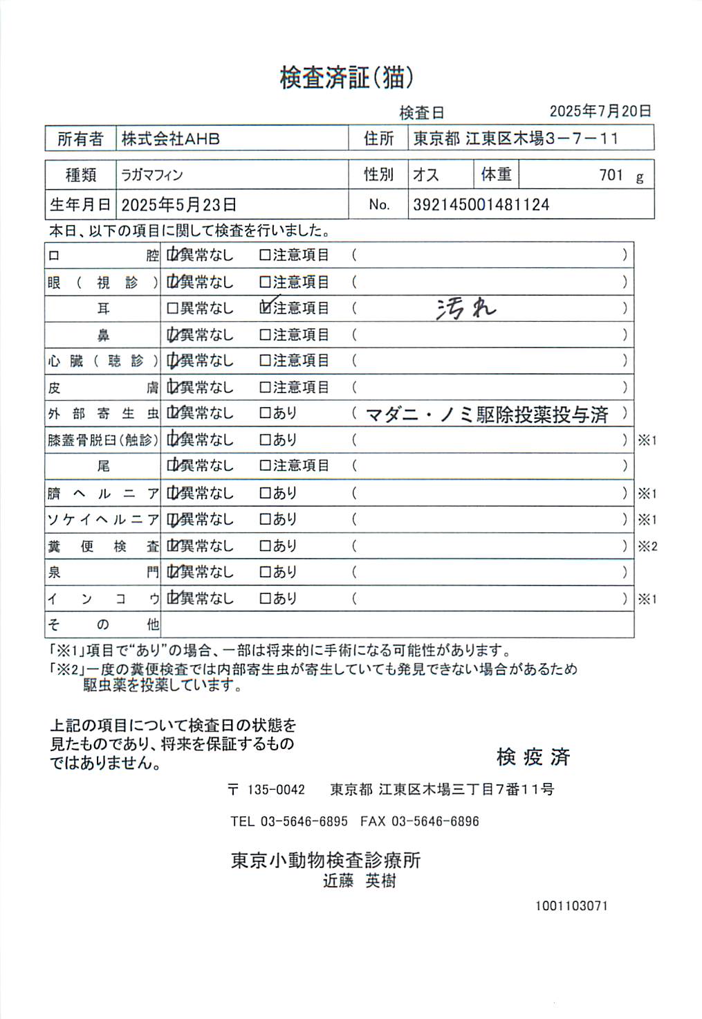 ラガマフィン