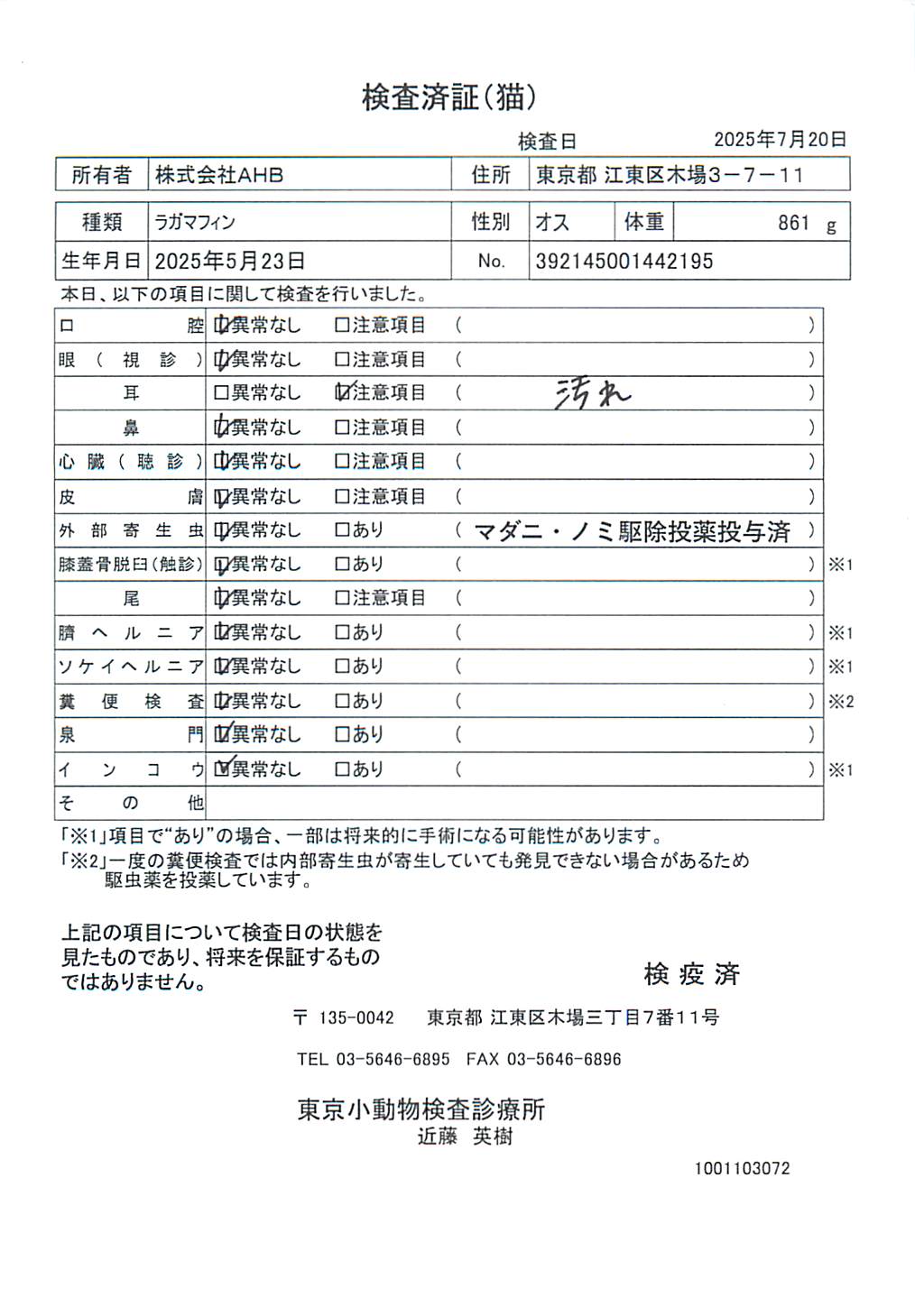 ラガマフィン
