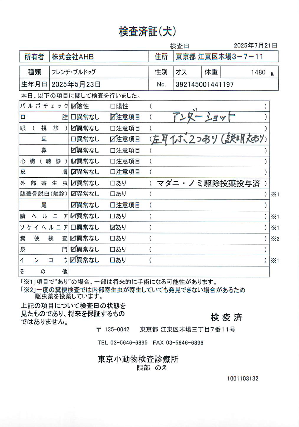 フレンチ・ブルドッグ