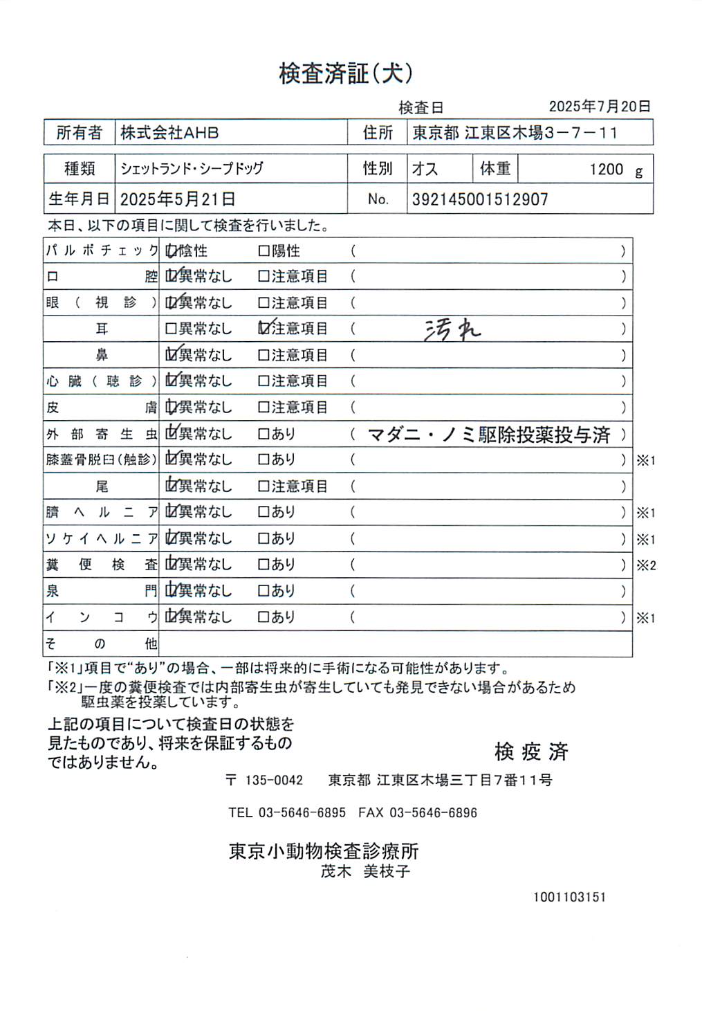 シェットランド・シープドッグ