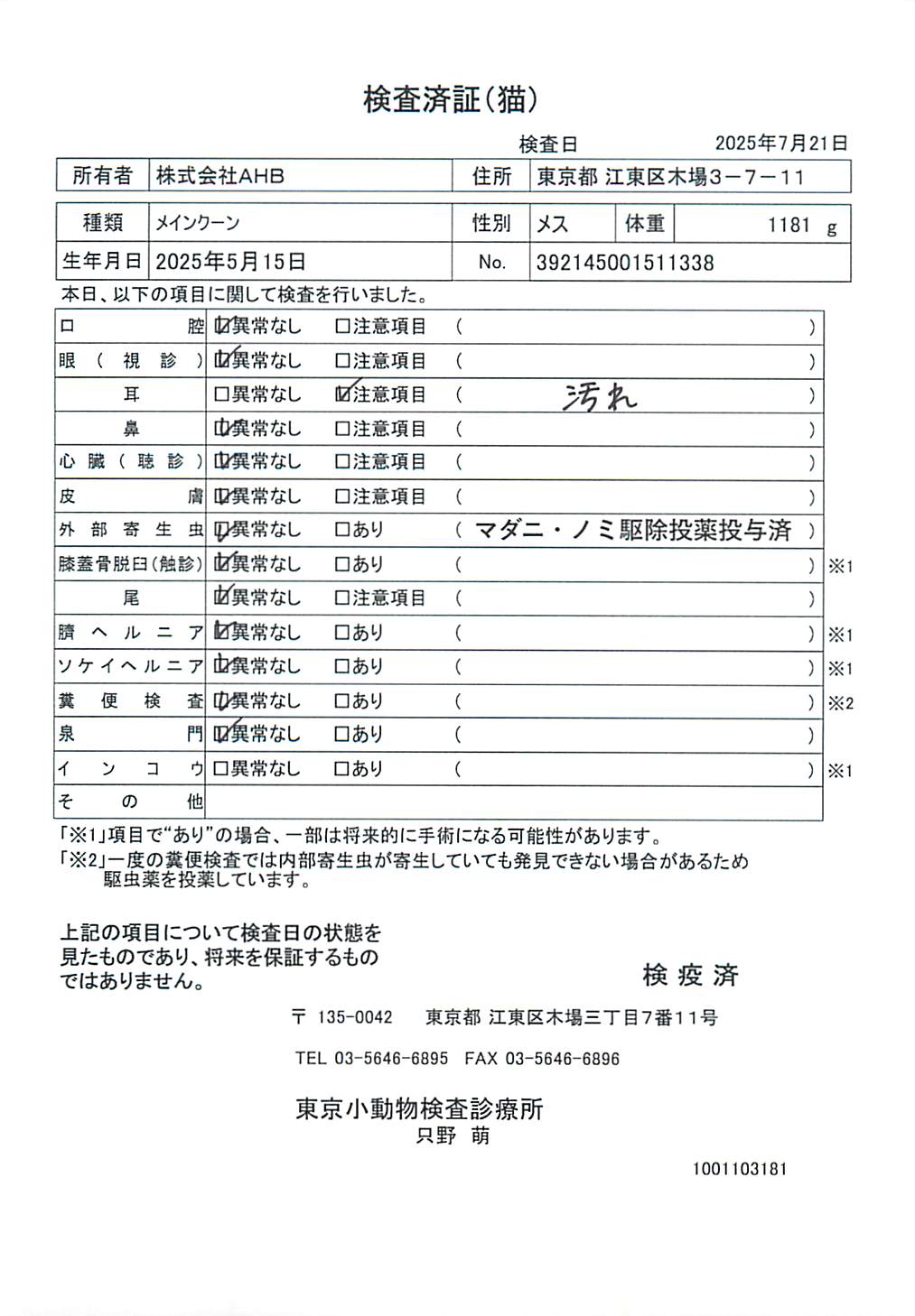 メインクーン