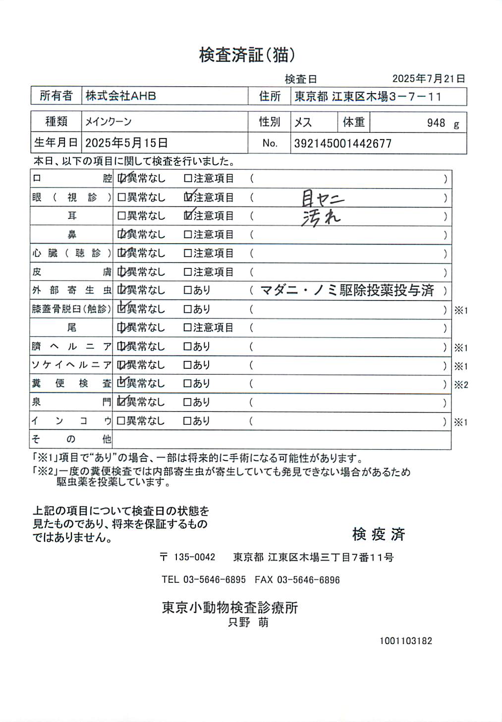 メインクーン