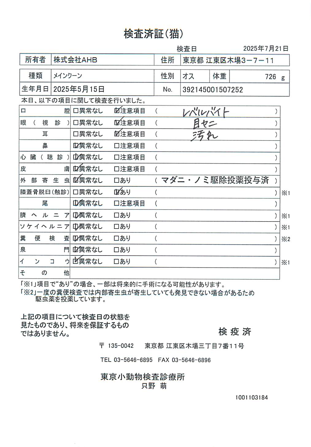 メインクーン