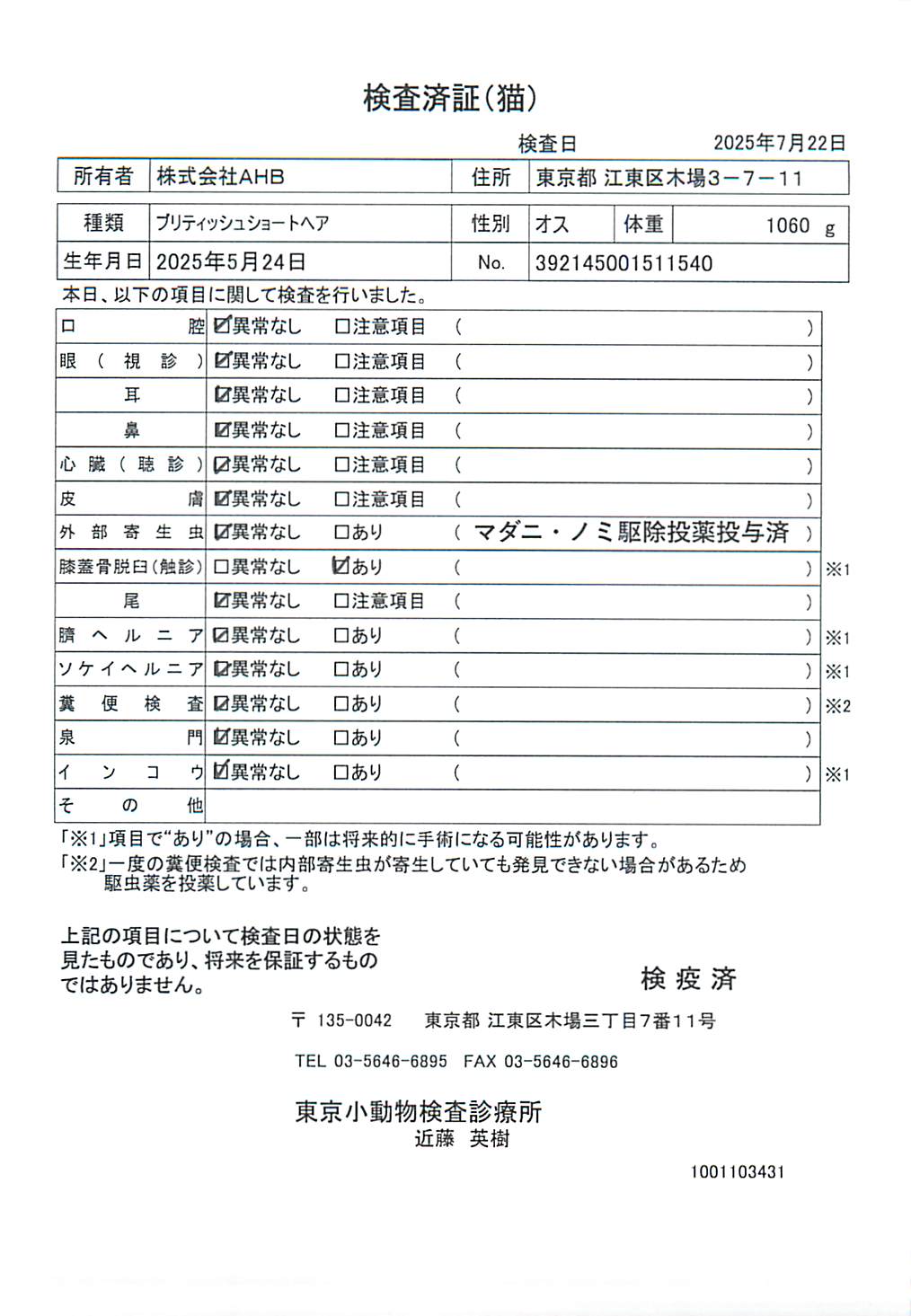 ブリティッシュショートヘア
