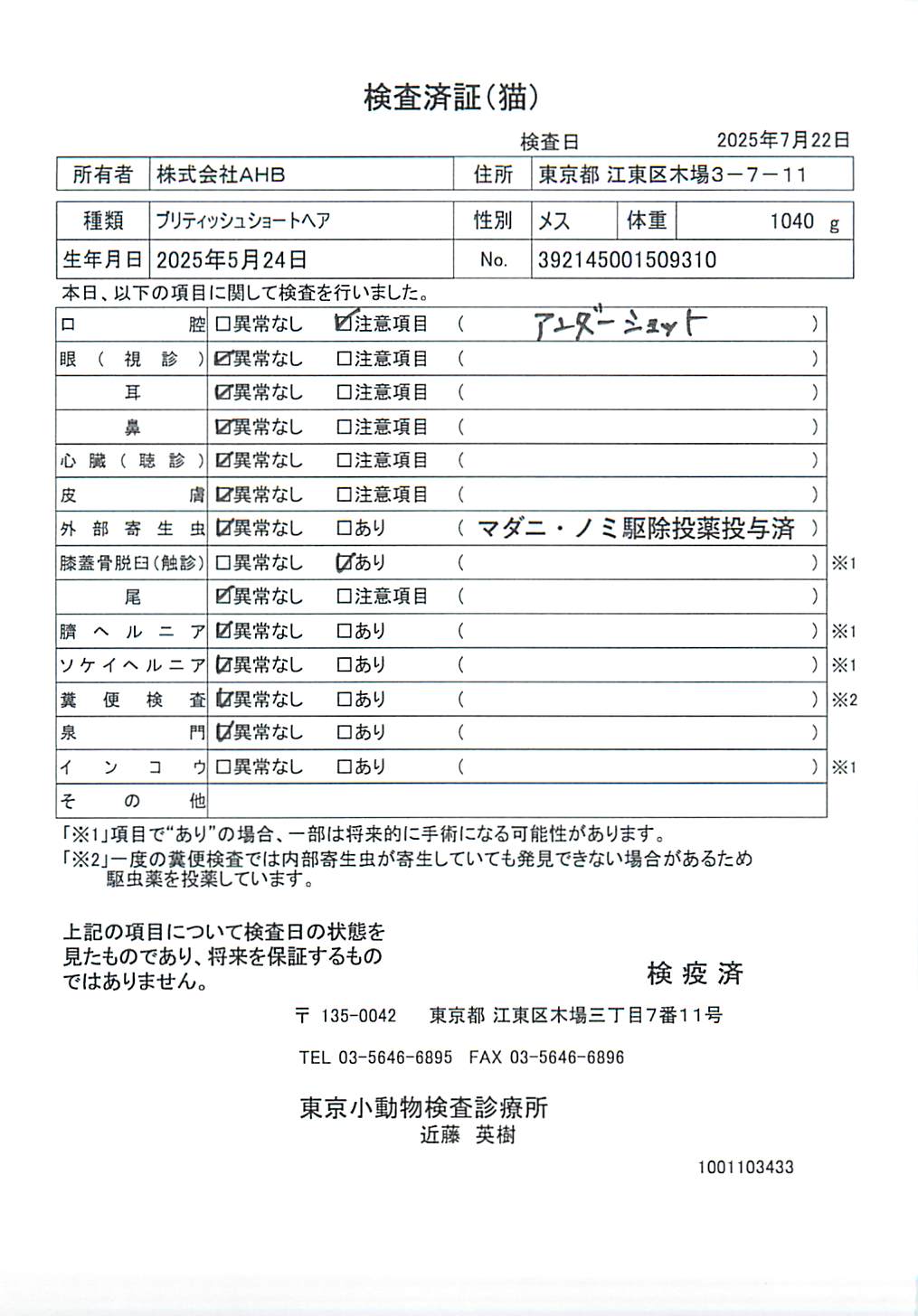 ブリティッシュショートヘア
