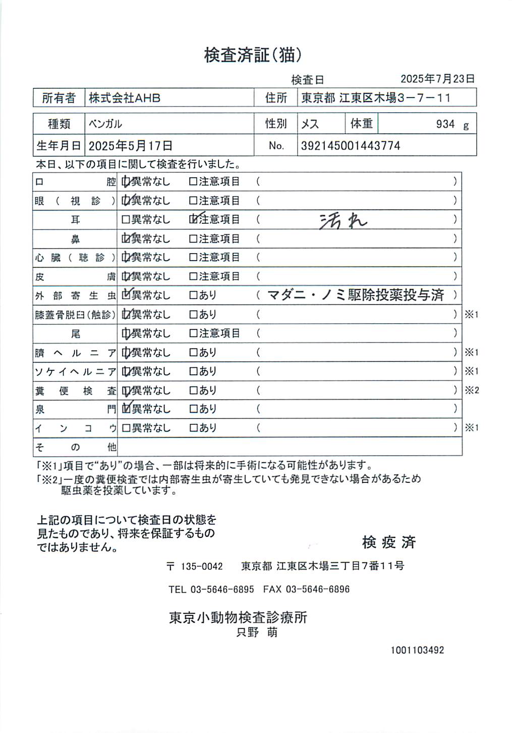 ベンガル