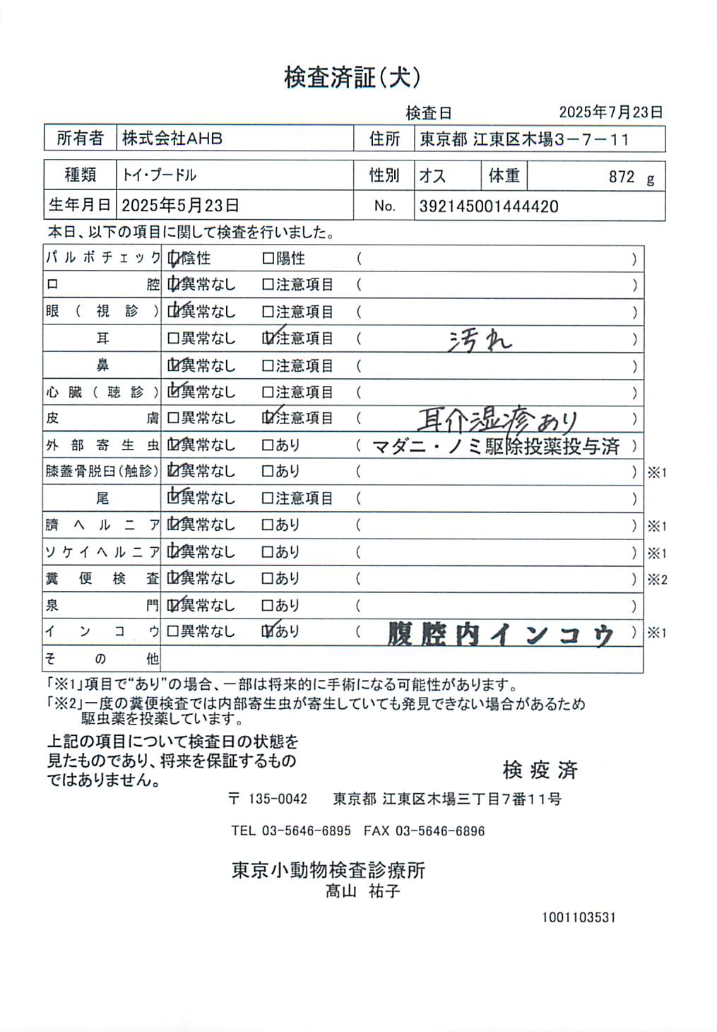 トイ・プードル