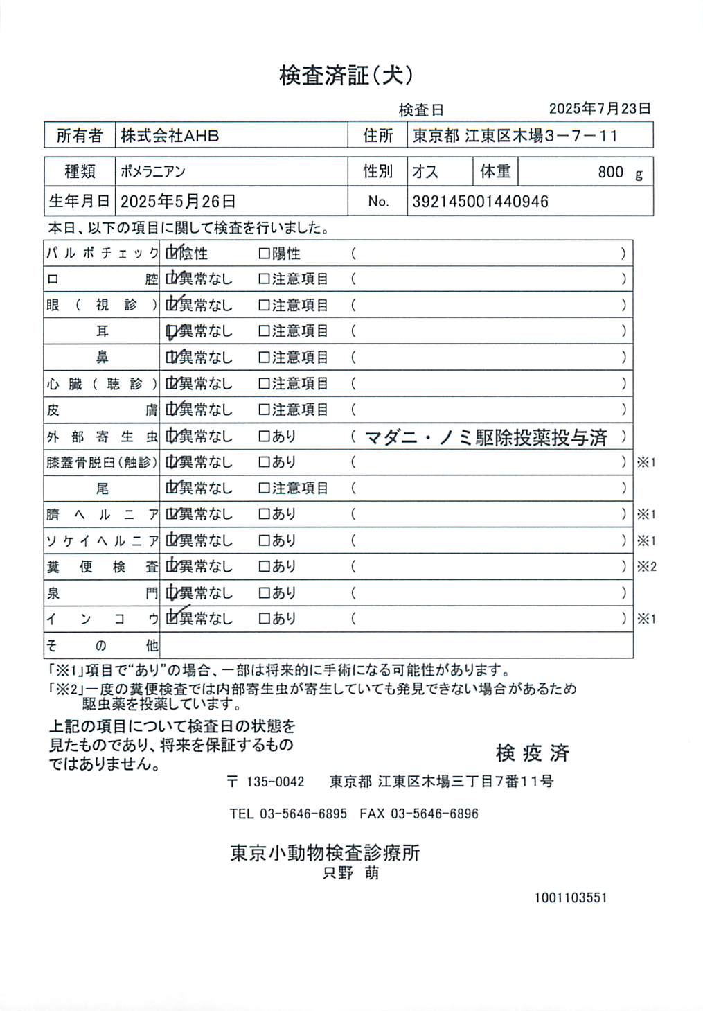 ポメラニアン