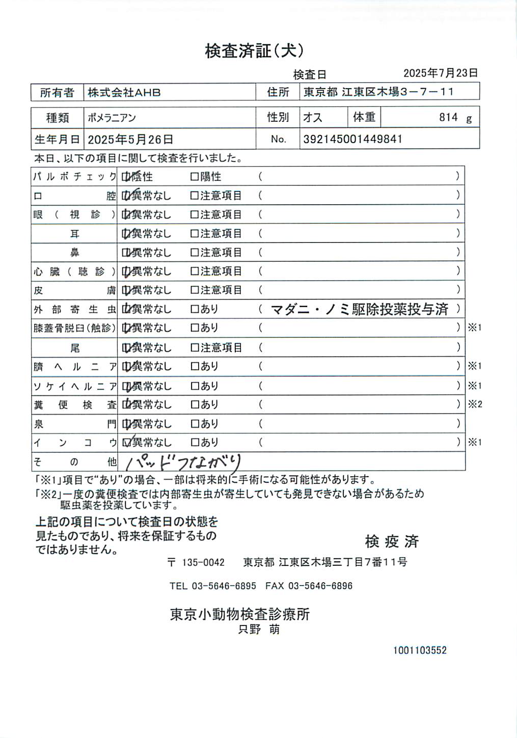ポメラニアン
