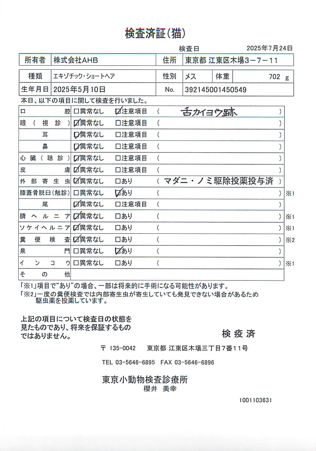 エキゾチック・ショートヘア