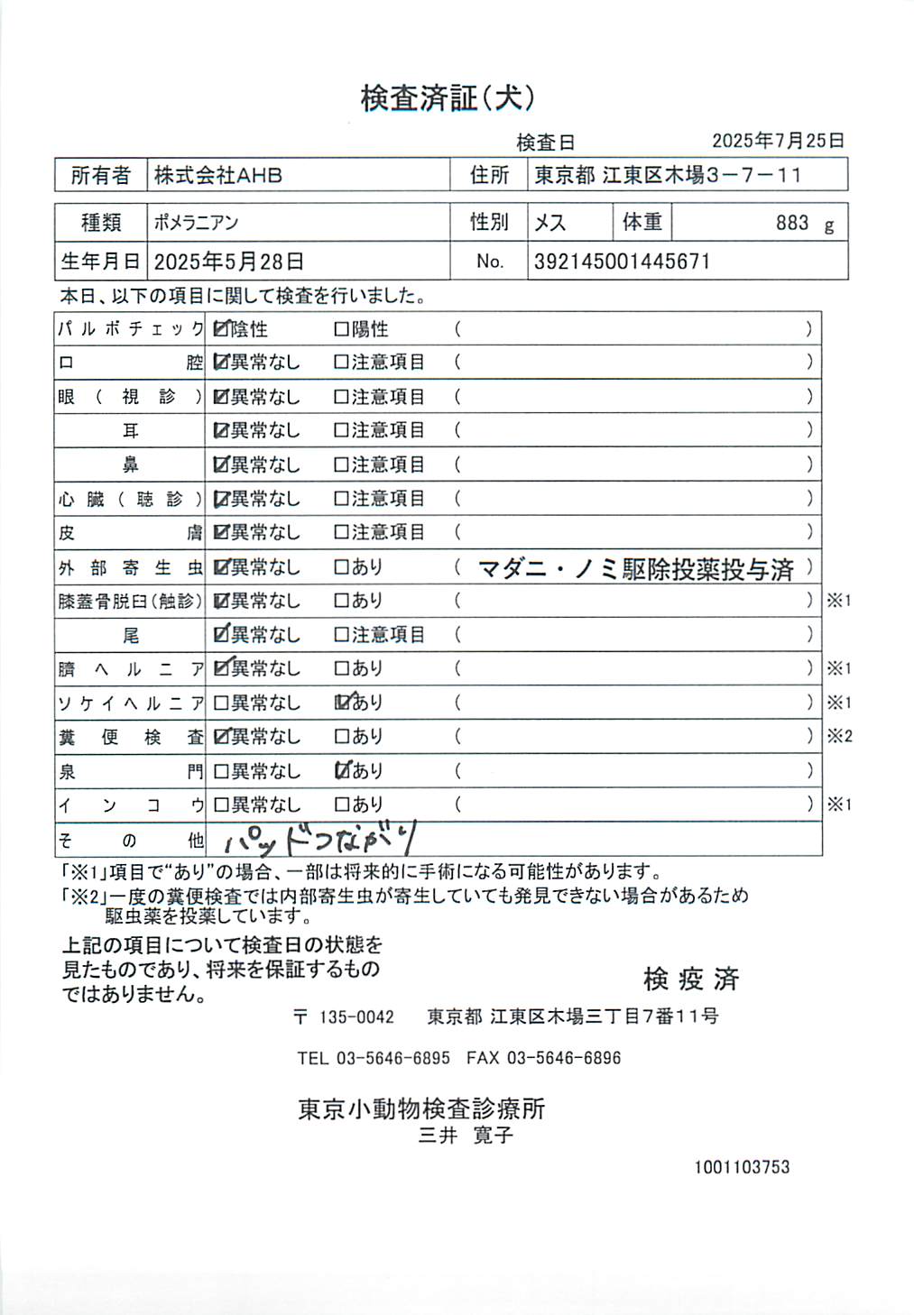 ポメラニアン