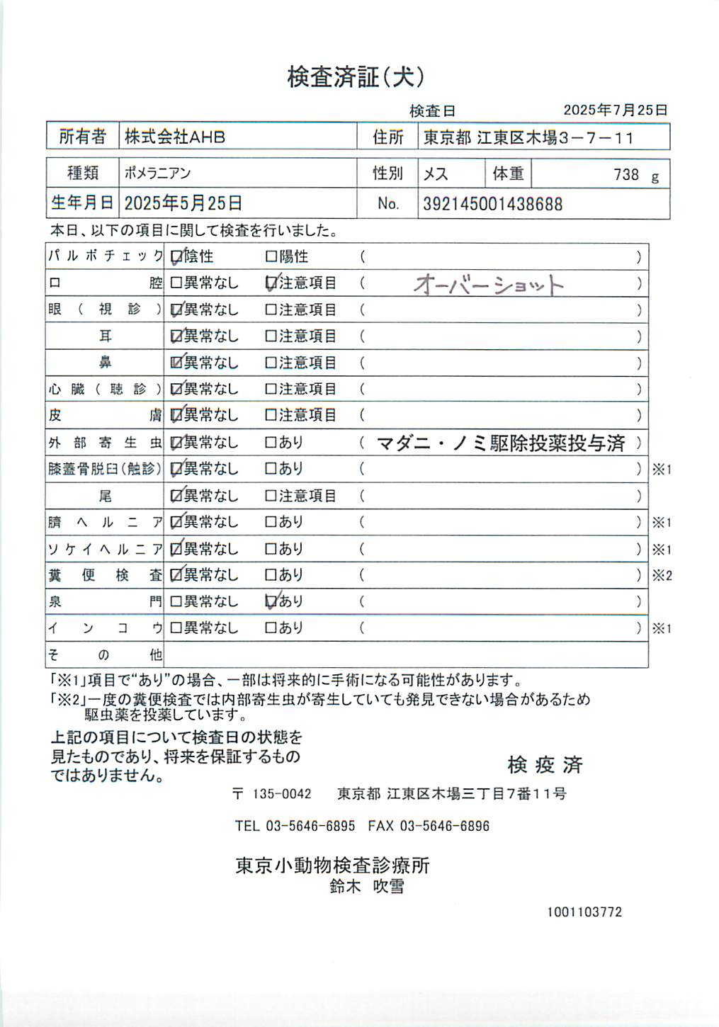 ポメラニアン