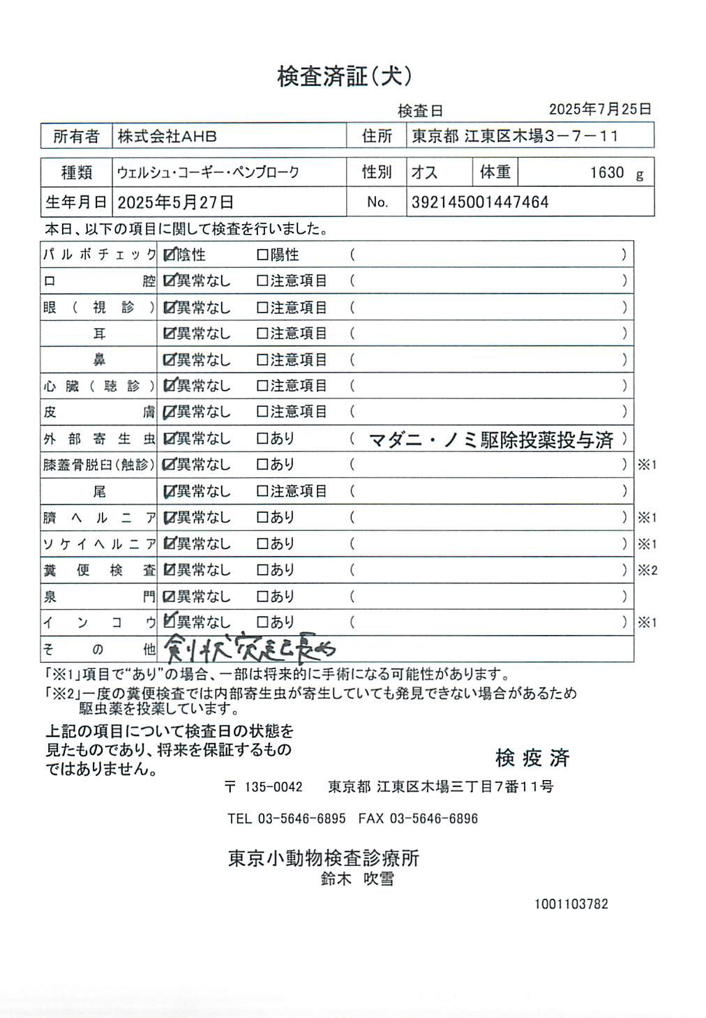 ウェルシュ・コーギー・ペンブローク
