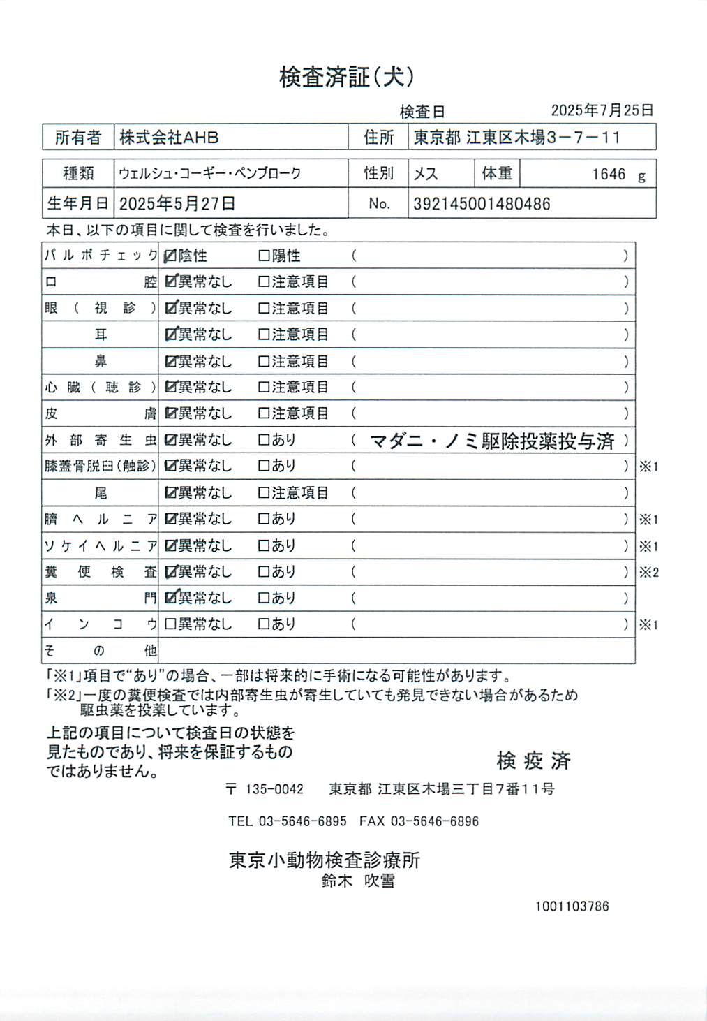 ウェルシュ・コーギー・ペンブローク