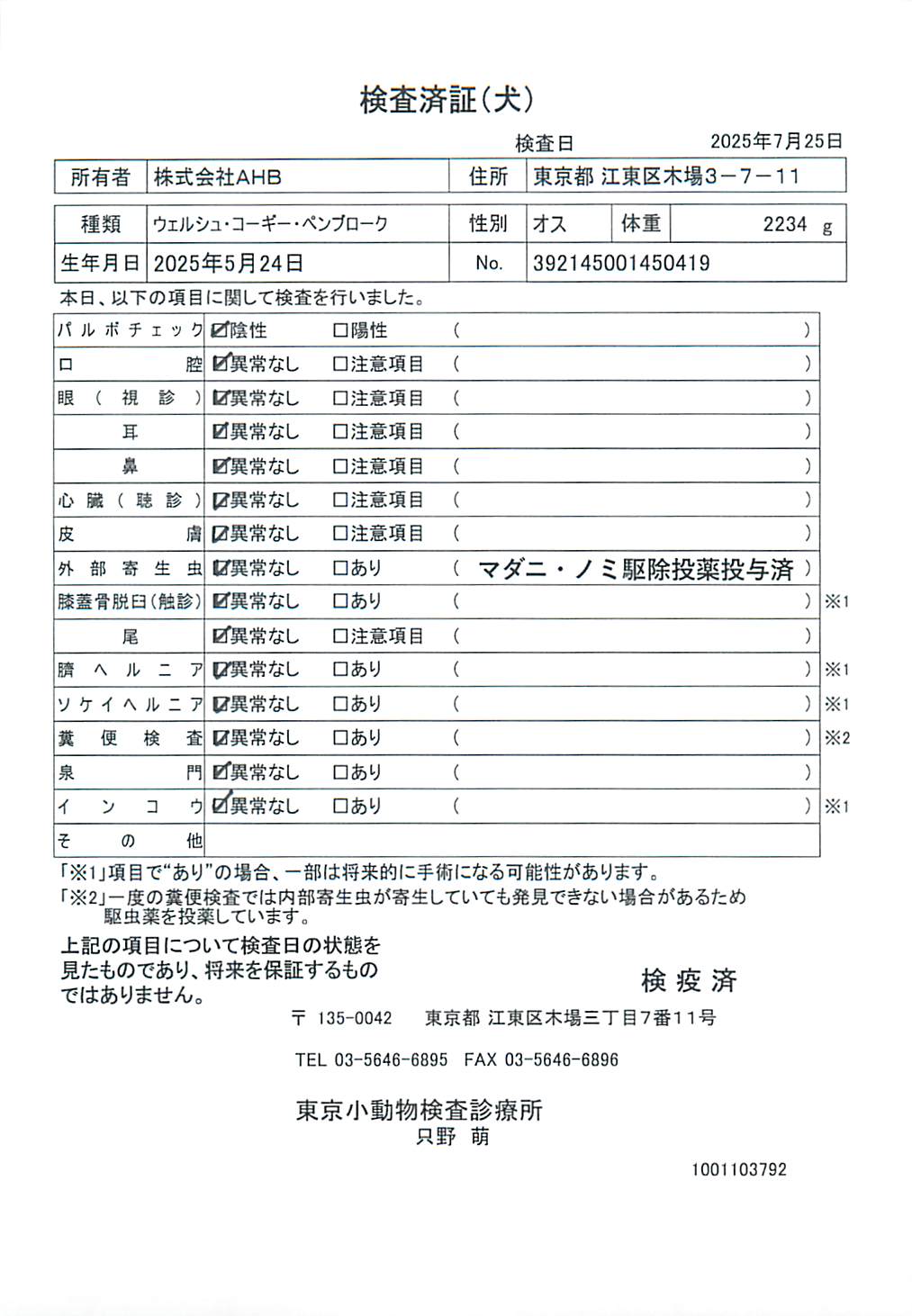 ウェルシュ・コーギー・ペンブローク