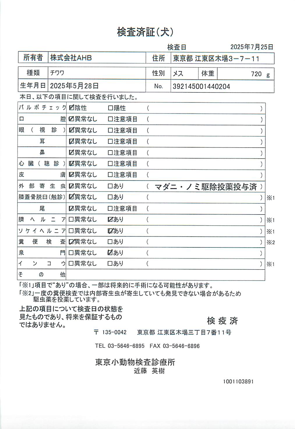 チワワ