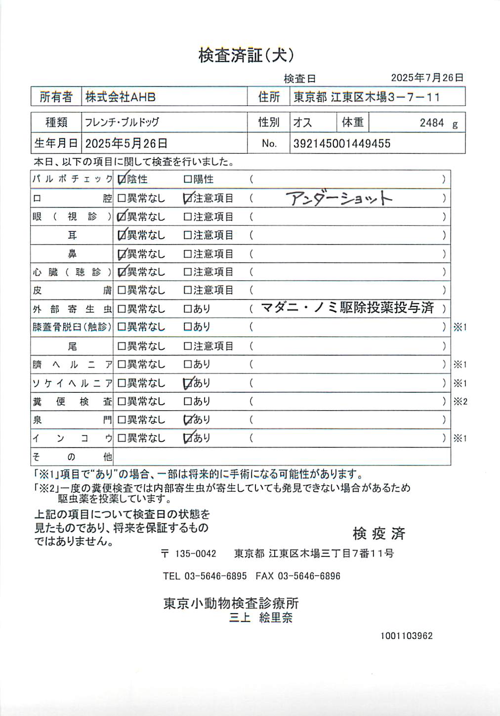 フレンチ・ブルドッグ