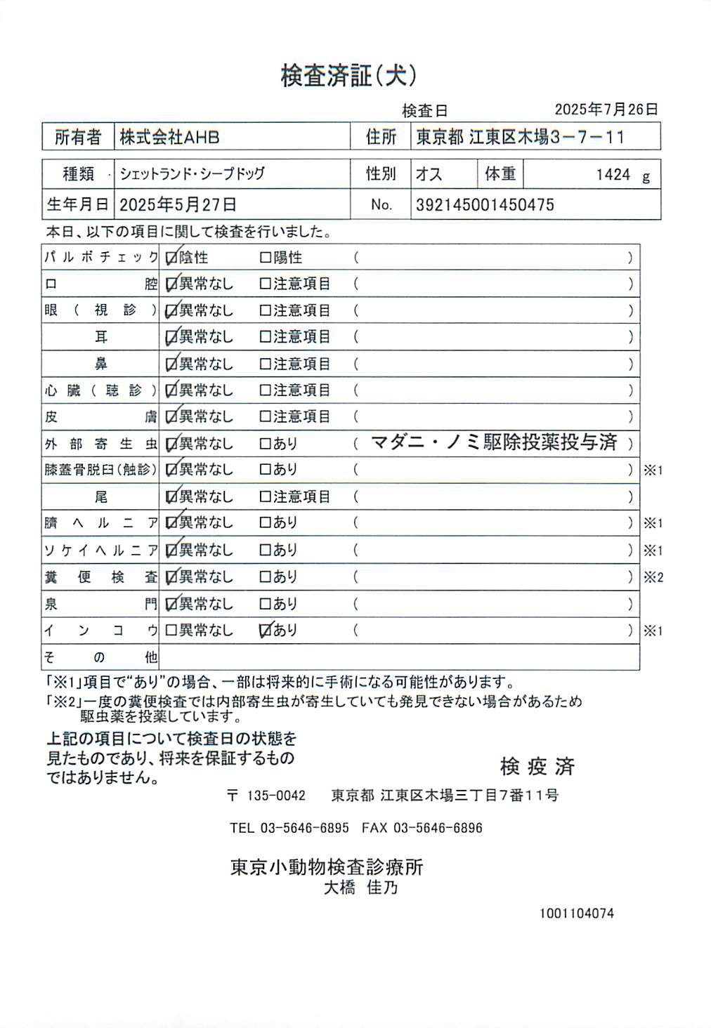シェットランド・シープドッグ