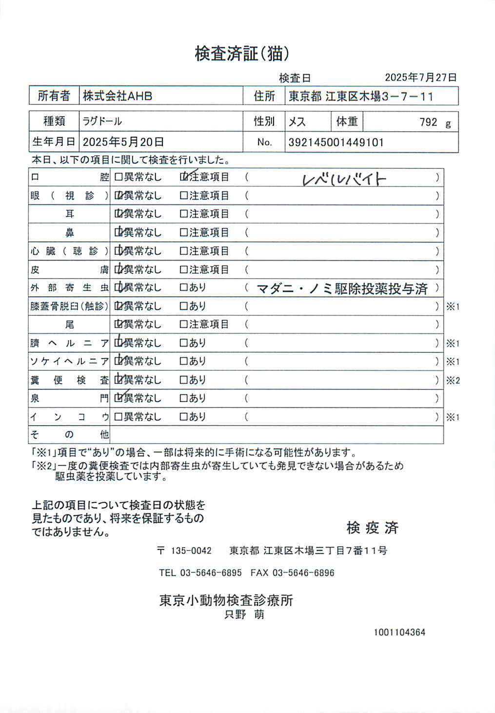 ラグドール