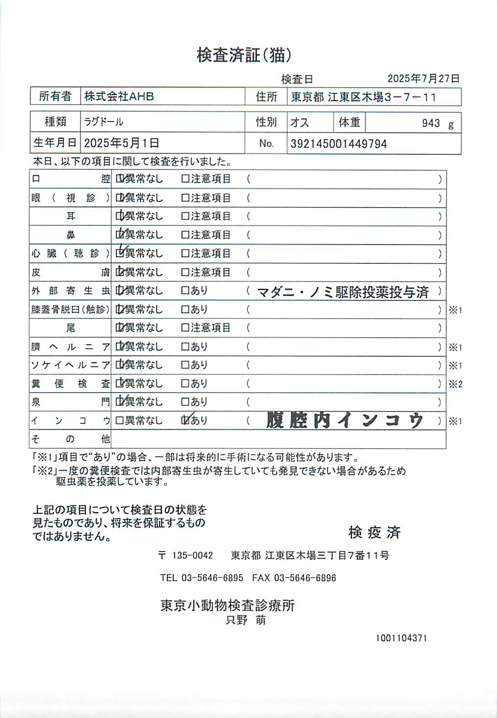 ラグドール
