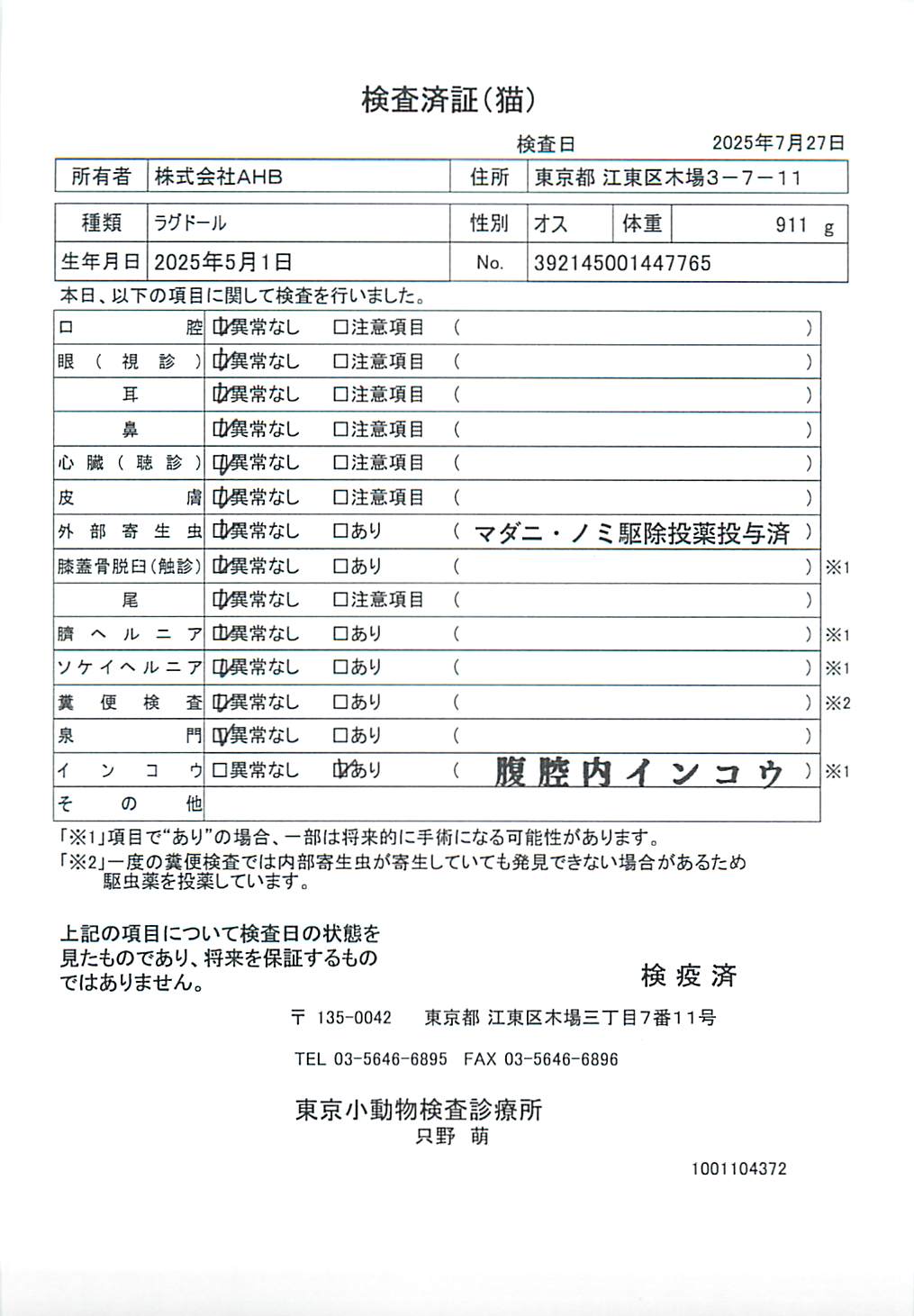 ラグドール