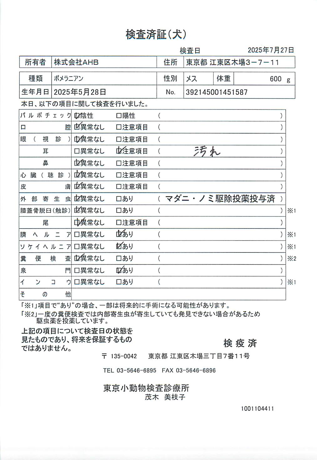 ポメラニアン