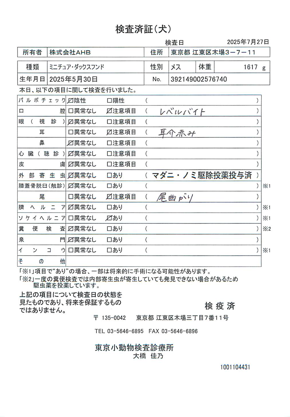 ミニチュア・ダックスフンド