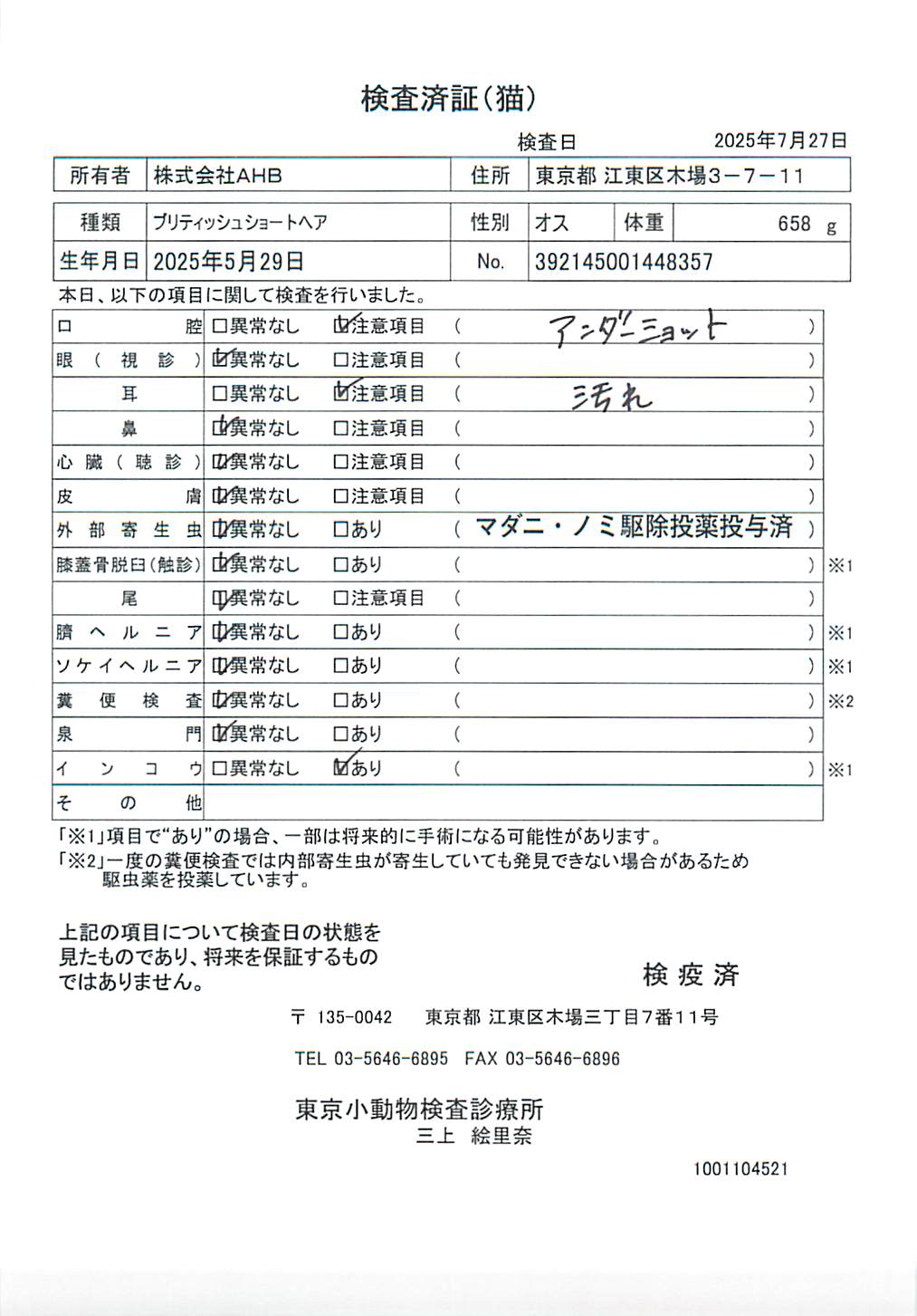 ブリティッシュショートヘア