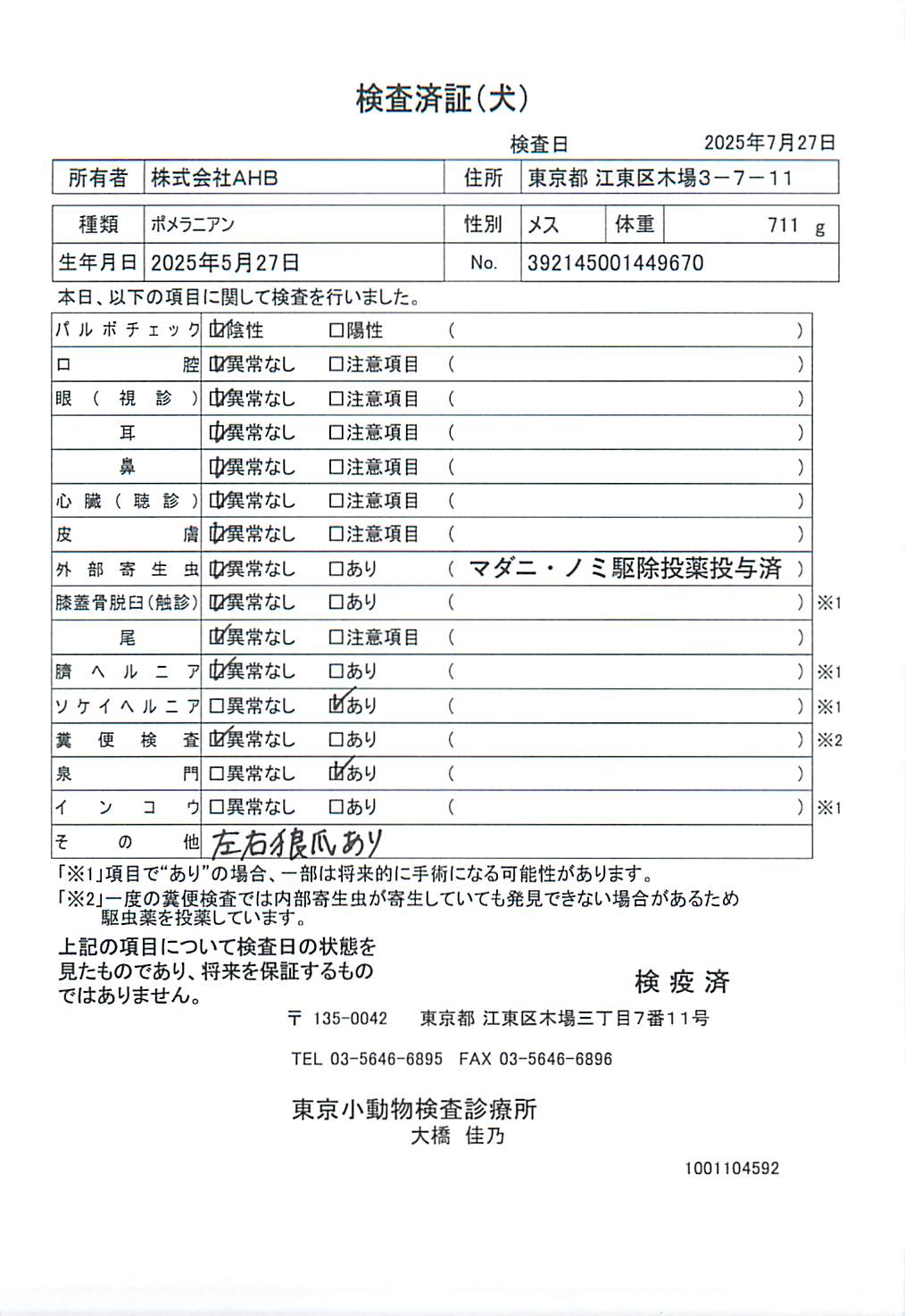ポメラニアン