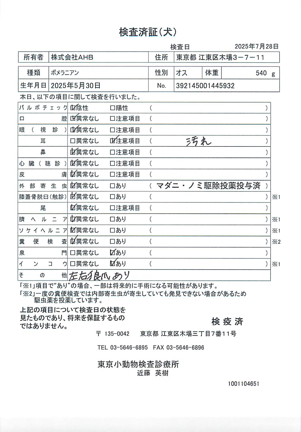 ポメラニアン