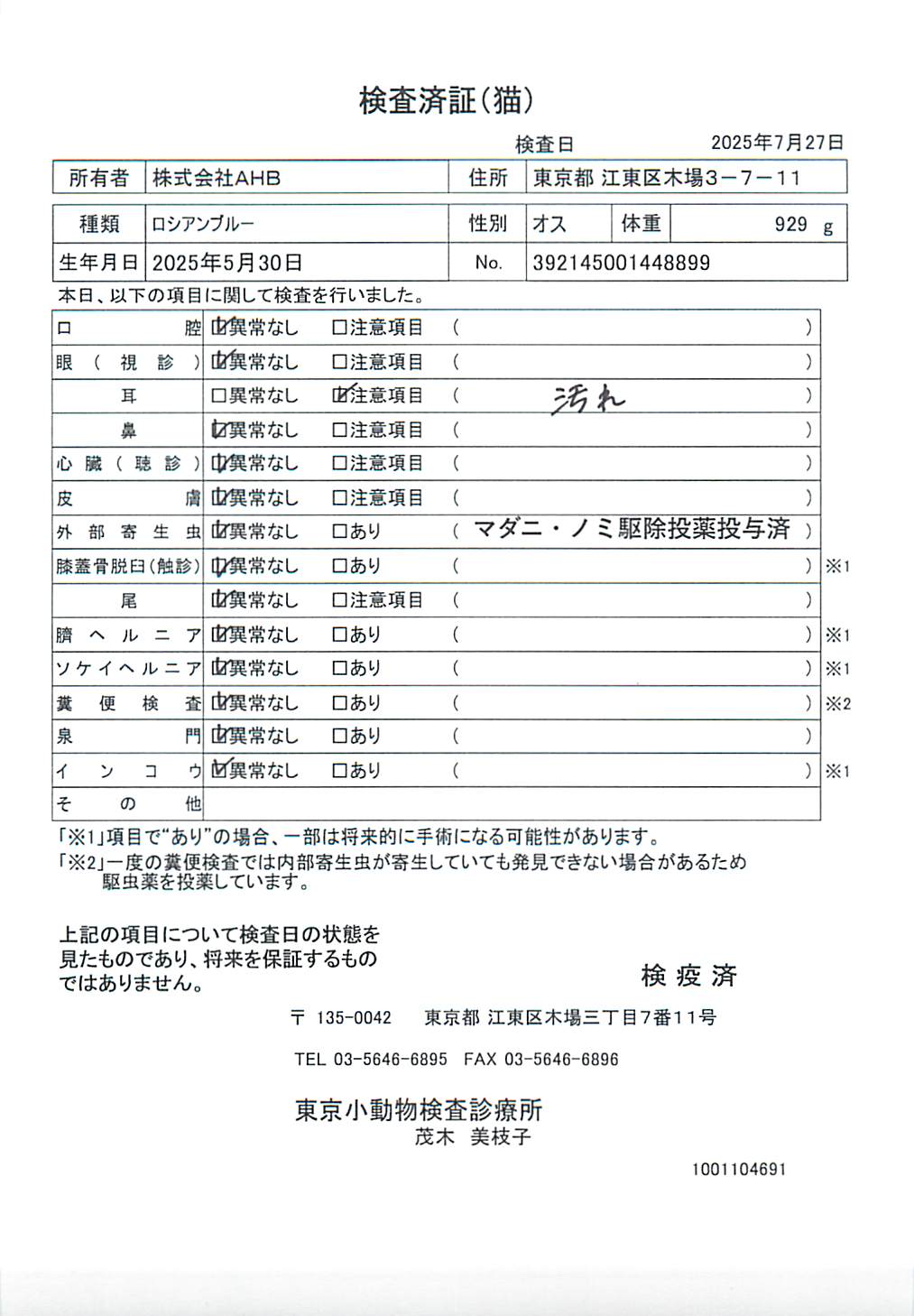 ロシアンブルー