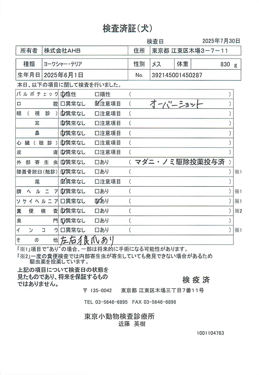 ヨークシャー・テリア