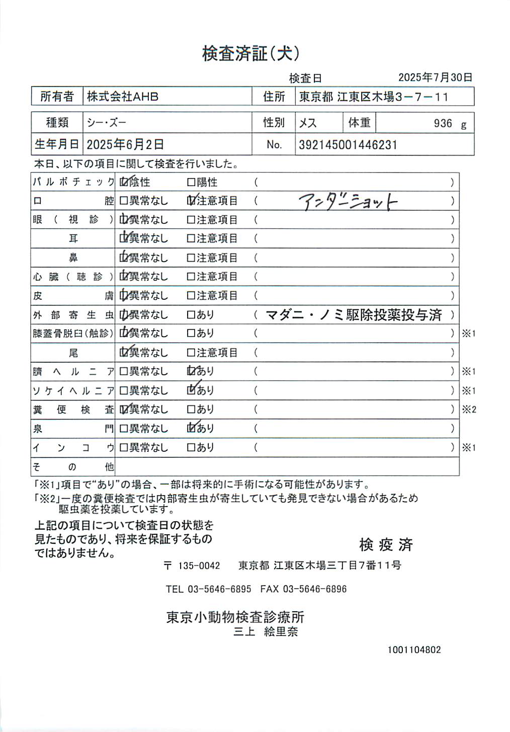 シー・ズー