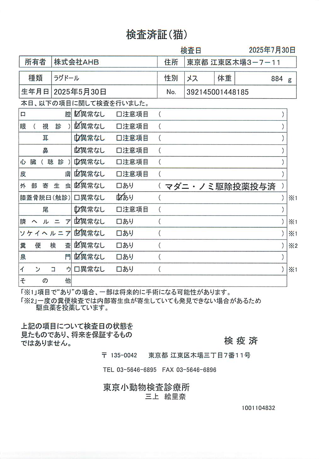 ラグドール