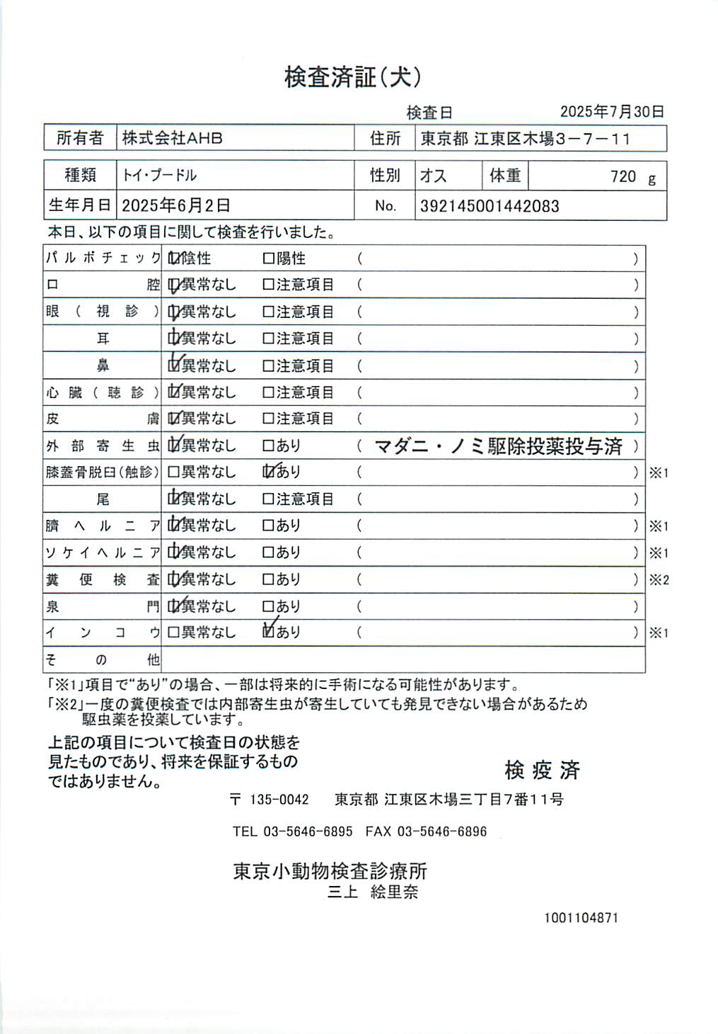 トイ・プードル