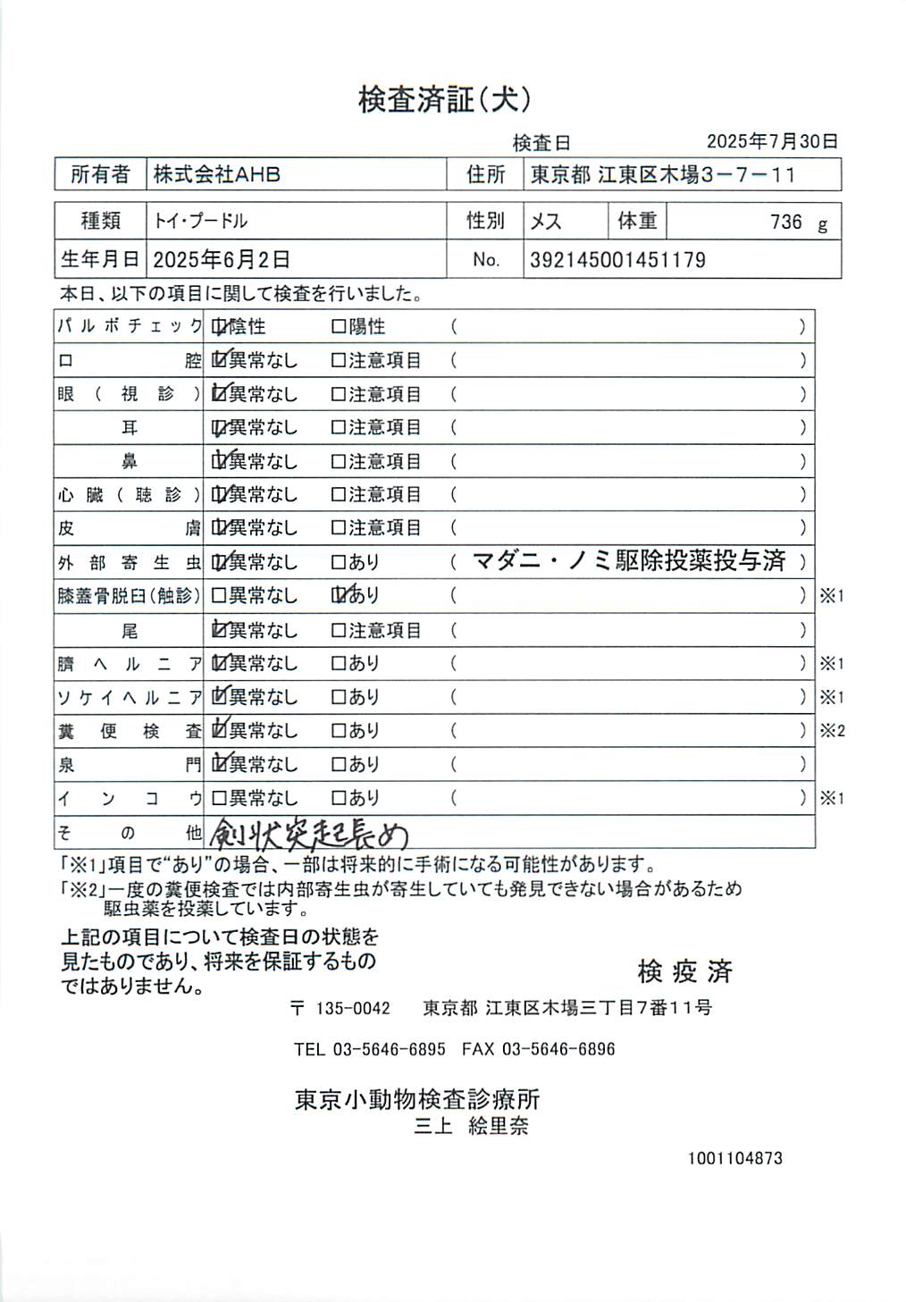 トイ・プードル