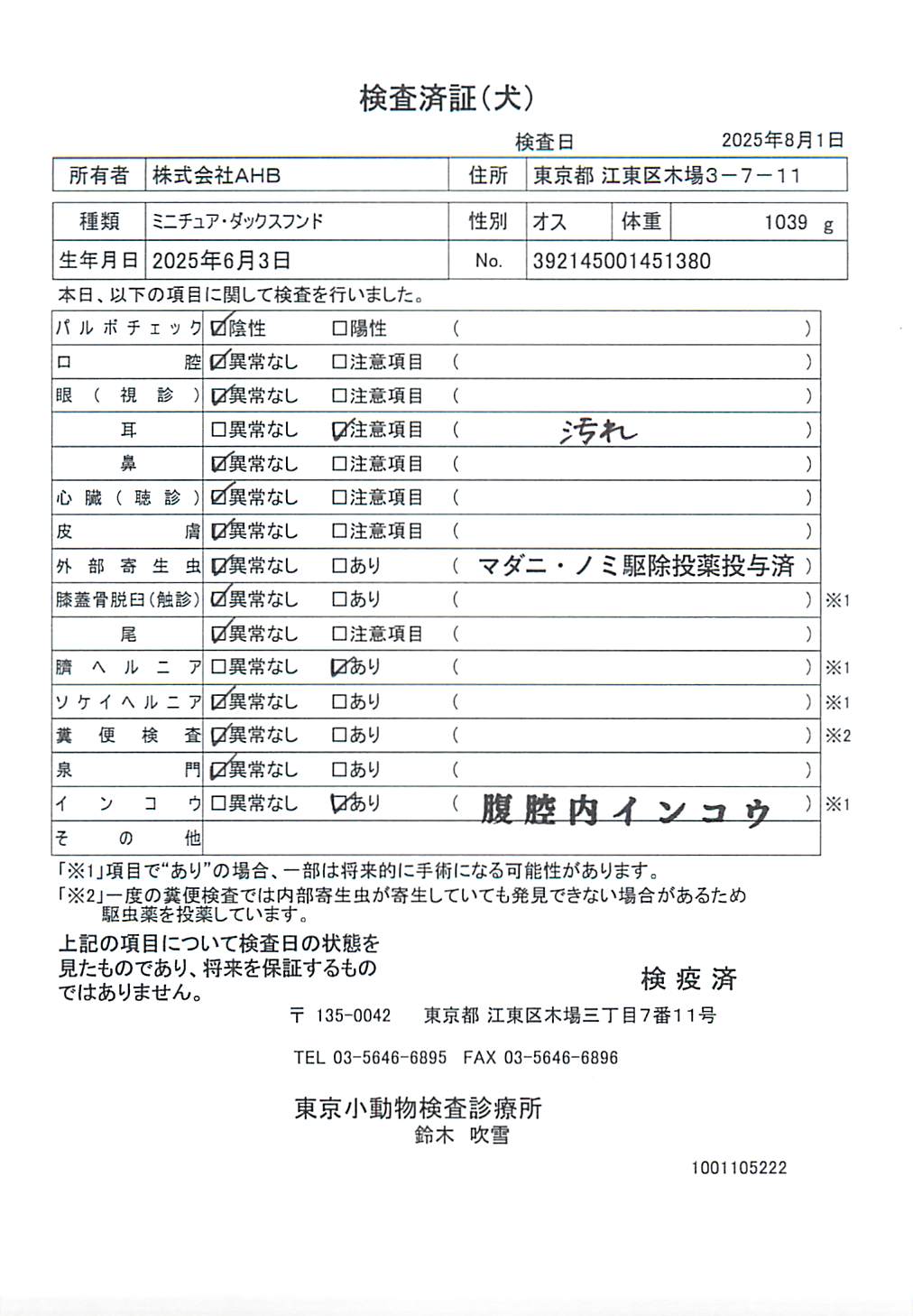 ミニチュア・ダックスフンド