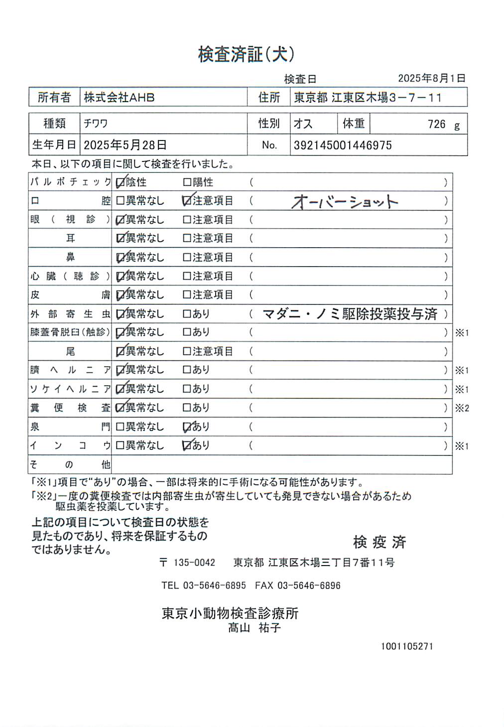 チワワ