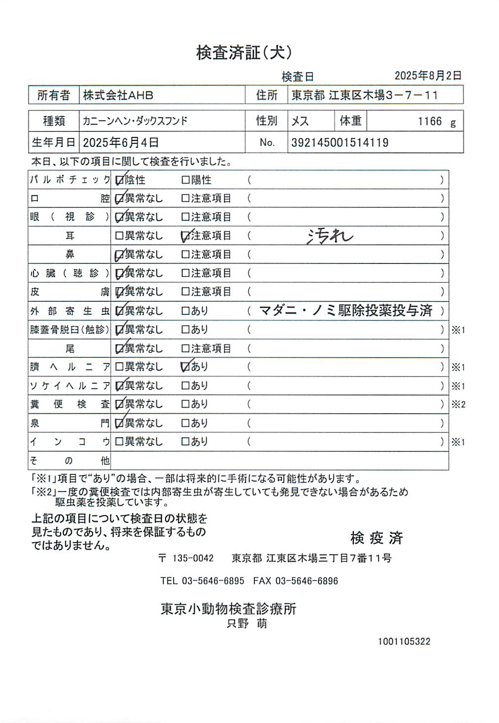 カニーンヘン・ダックスフンド