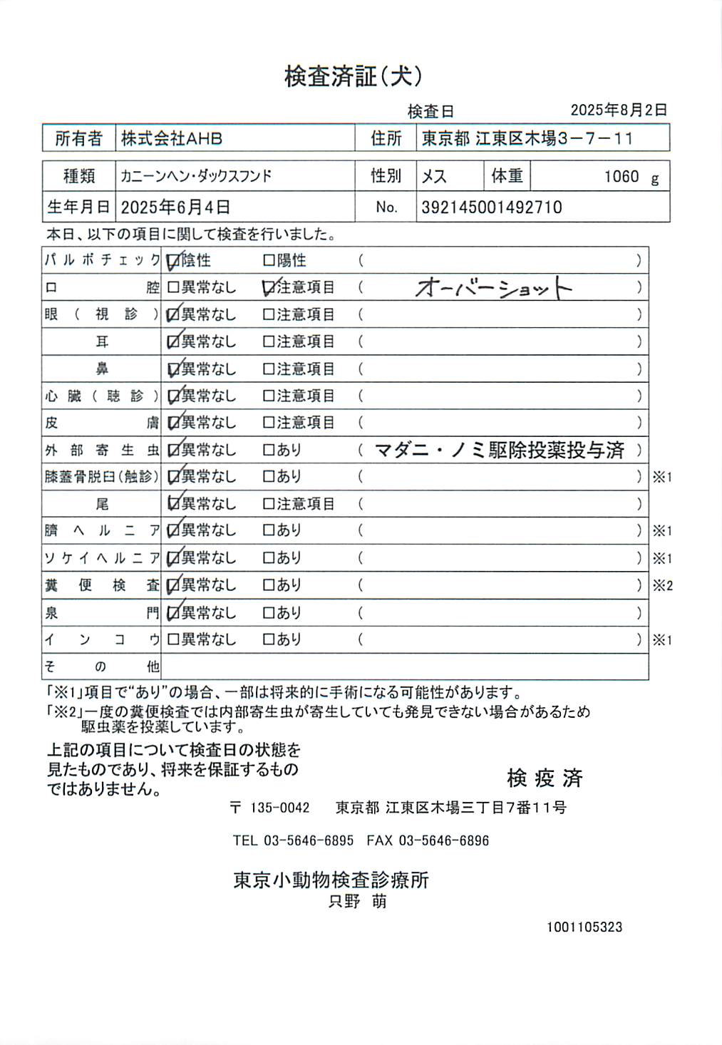 カニーンヘン・ダックスフンド