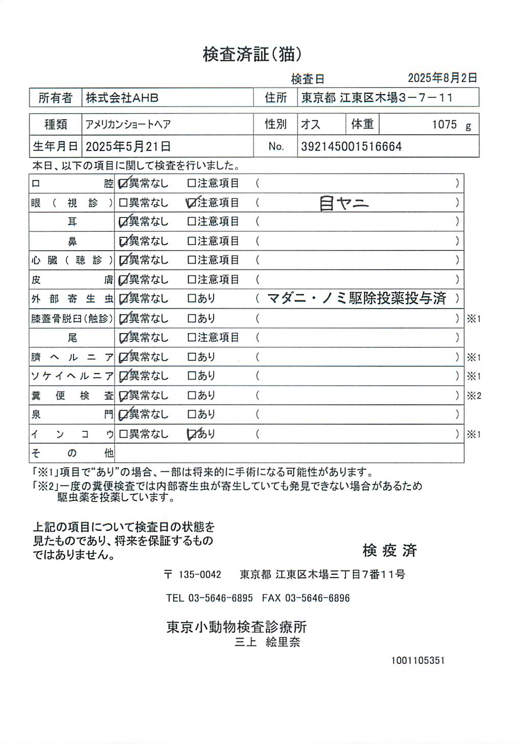 アメリカンショートヘア