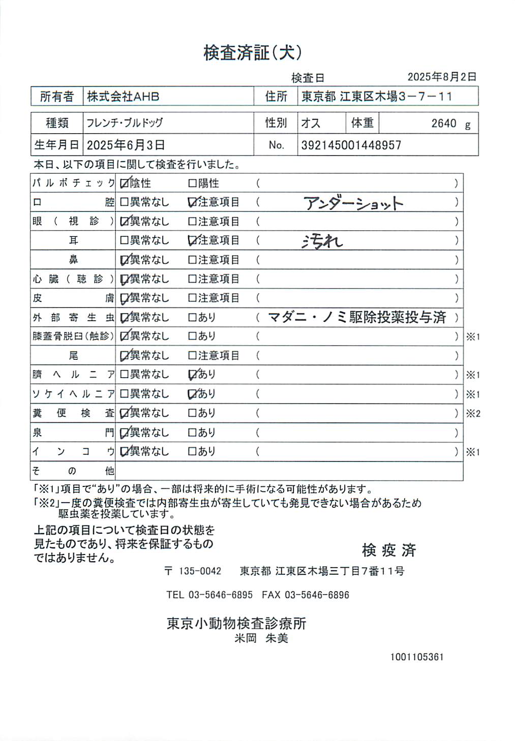 フレンチ・ブルドッグ