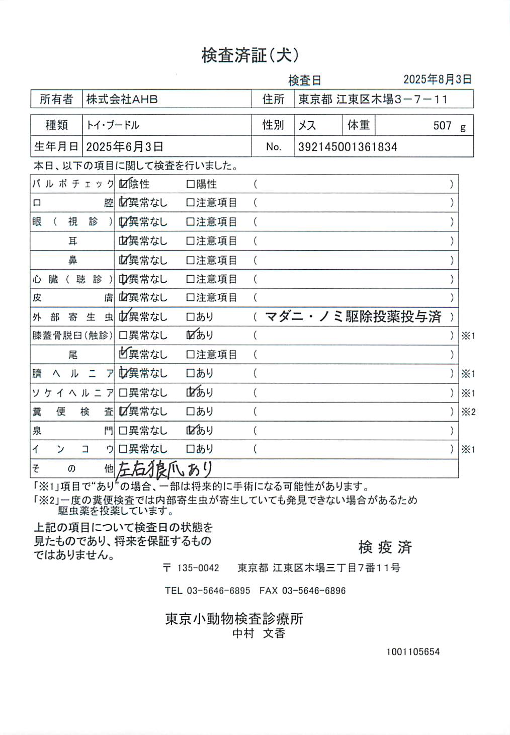 トイ・プードル