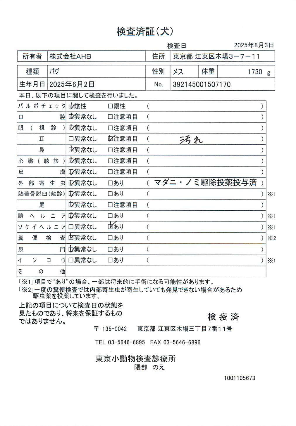 パグ