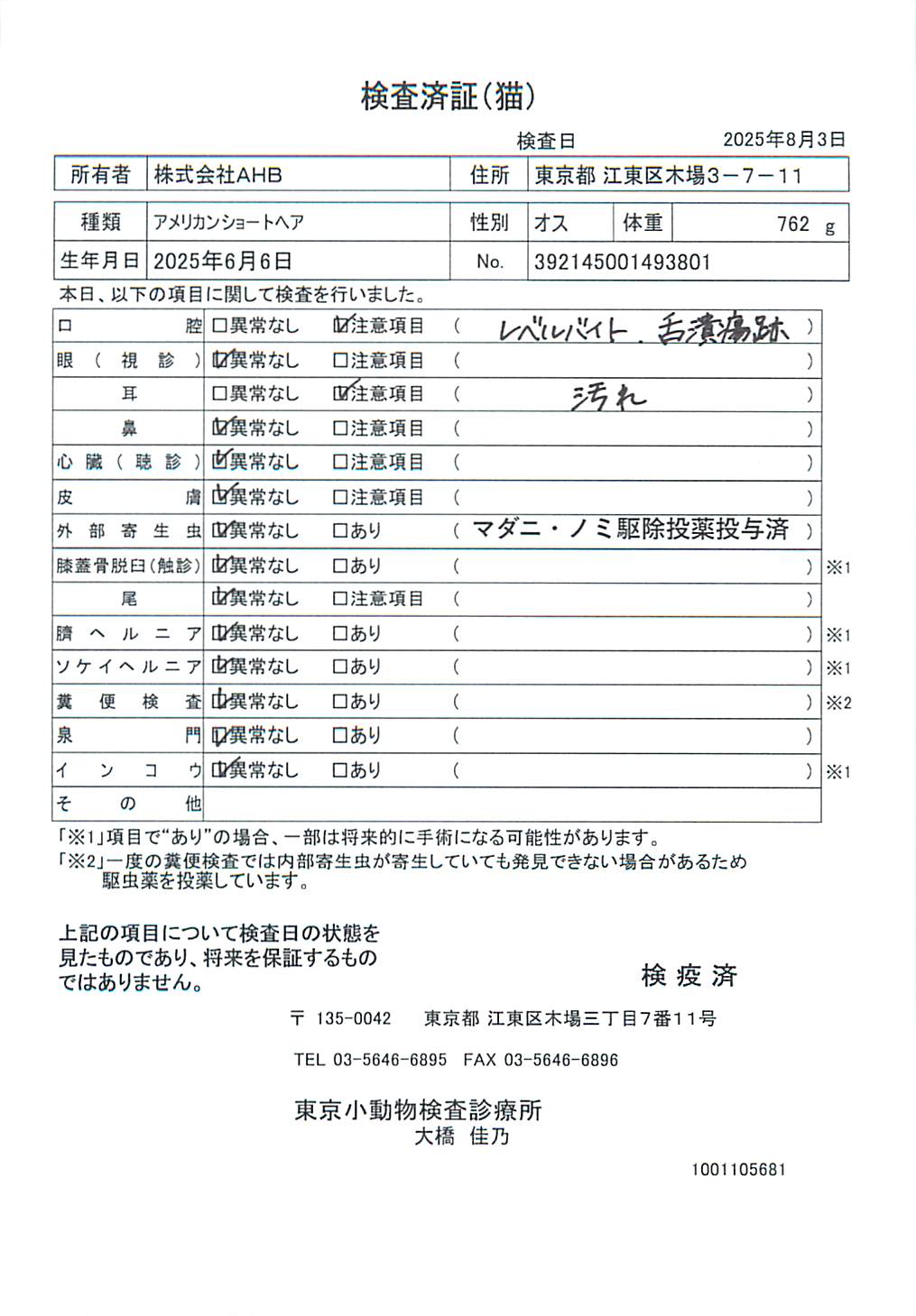 アメリカンショートヘア