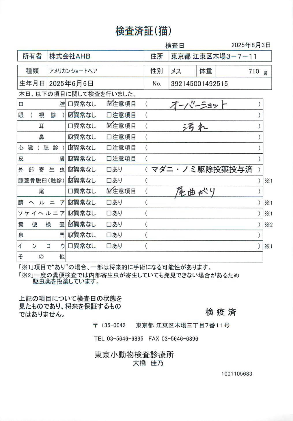 アメリカンショートヘア
