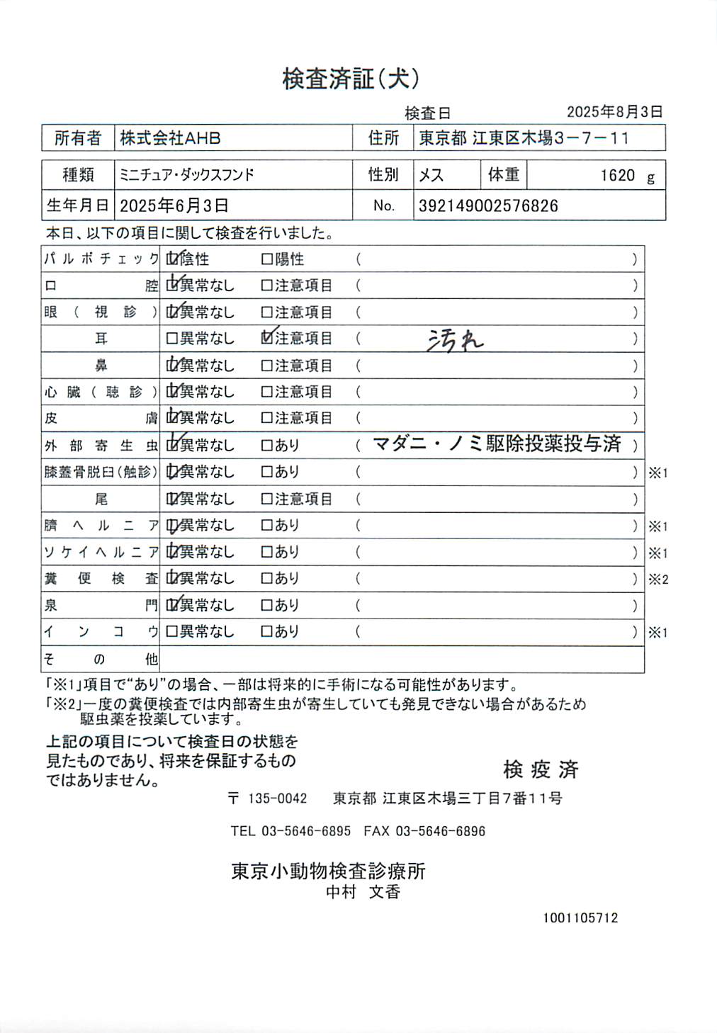 ミニチュア・ダックスフンド